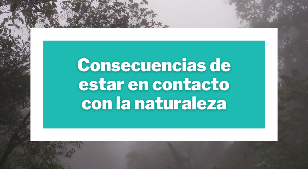 Consecuencias de estar en contacto con la naturaleza
