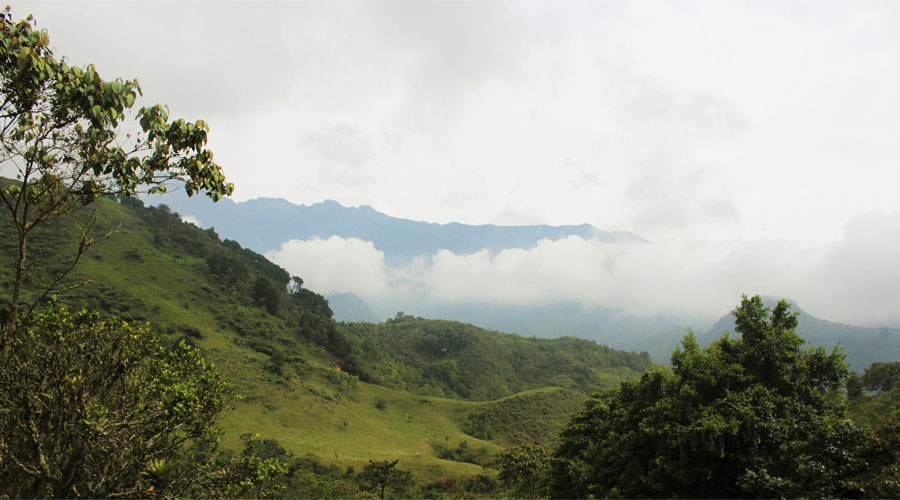 Tocanubes