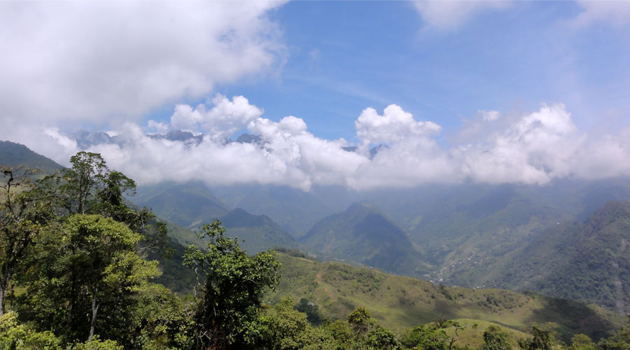 Tocanubes