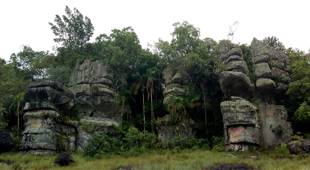 Encuentro Nacional de Caminantes 2019, San José del Guaviare