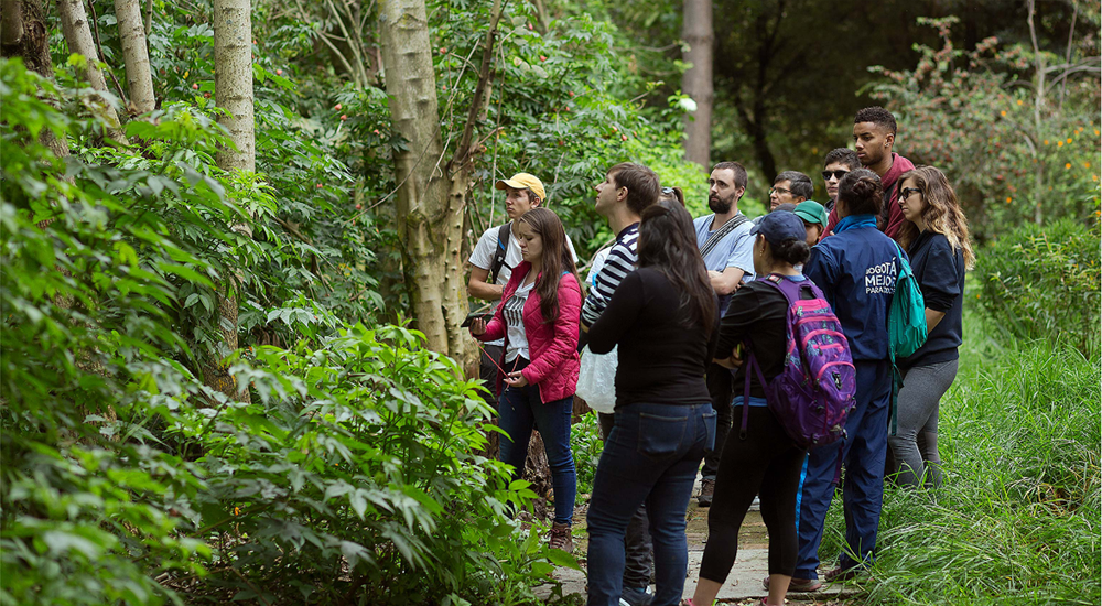 Festival Súmate al Bosque 2022, una invitación a explorar la conexión con la biodiversidad