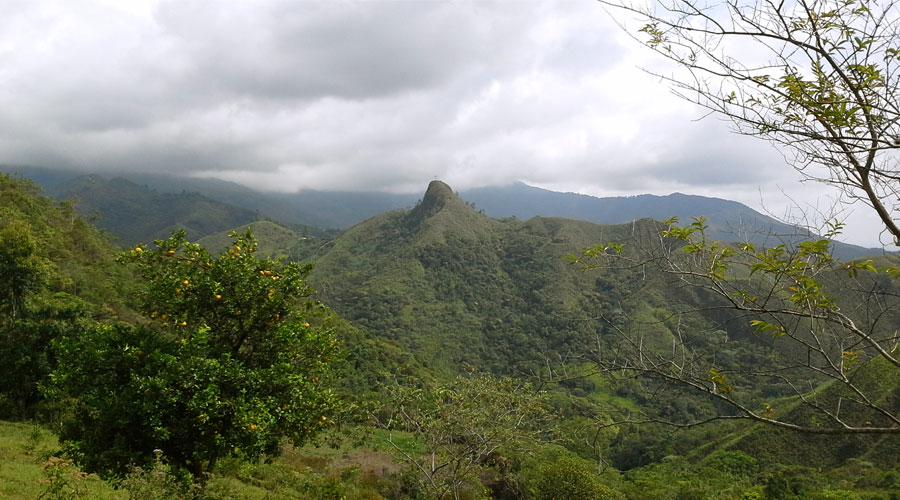 Jamundí en Panorámica