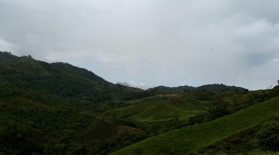 Chorrera Blanca Jamundí