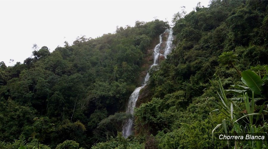Chorrera Blanca Jamundí