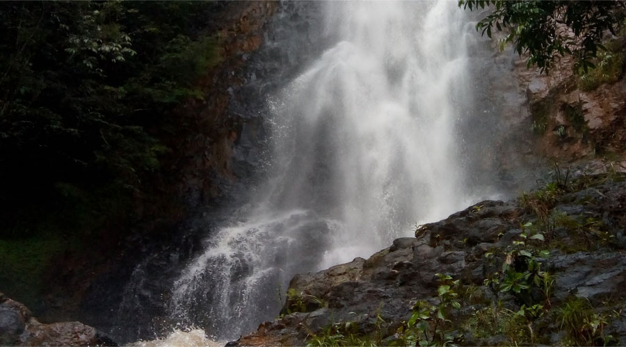 Chorrera Blanca Jamundí