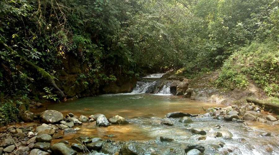 Chorrera Blanca Jamundí