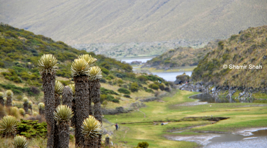 Laguna del Otún (3 días)