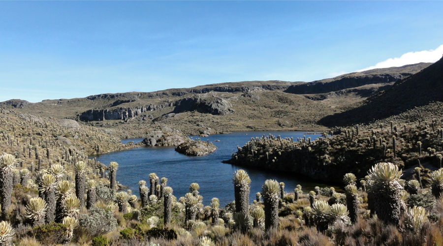 Laguna del Otún (3 días)