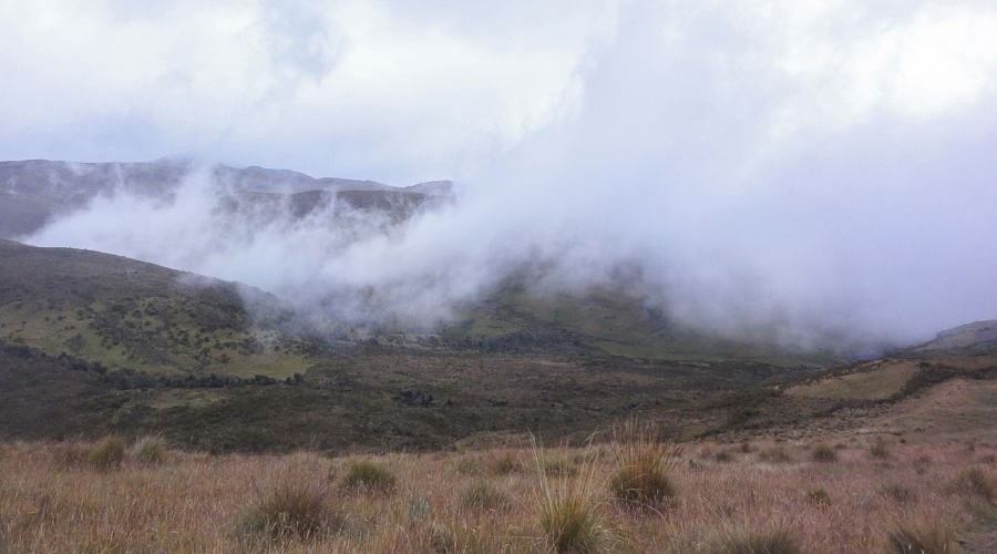 Laguna del Otún (3 días)