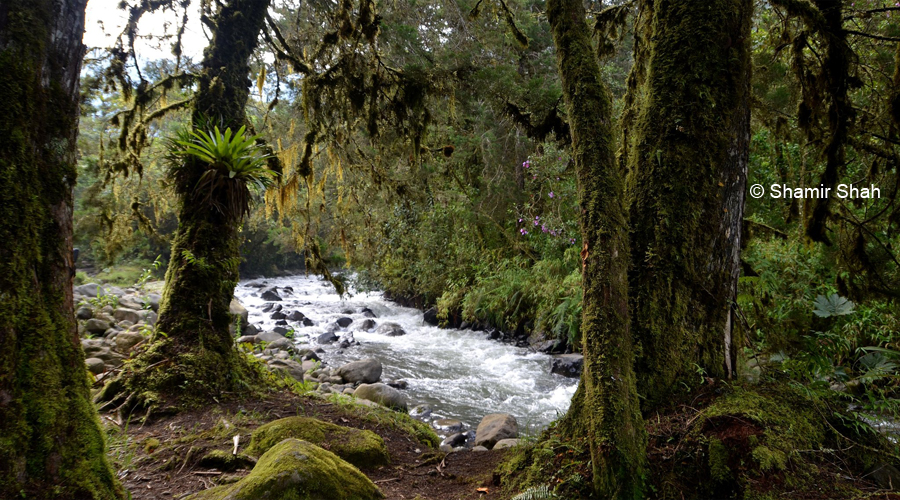 Laguna del Otún (3 días)