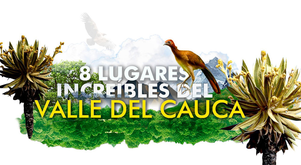 8 Lugares recomendados del Valle del Cauca