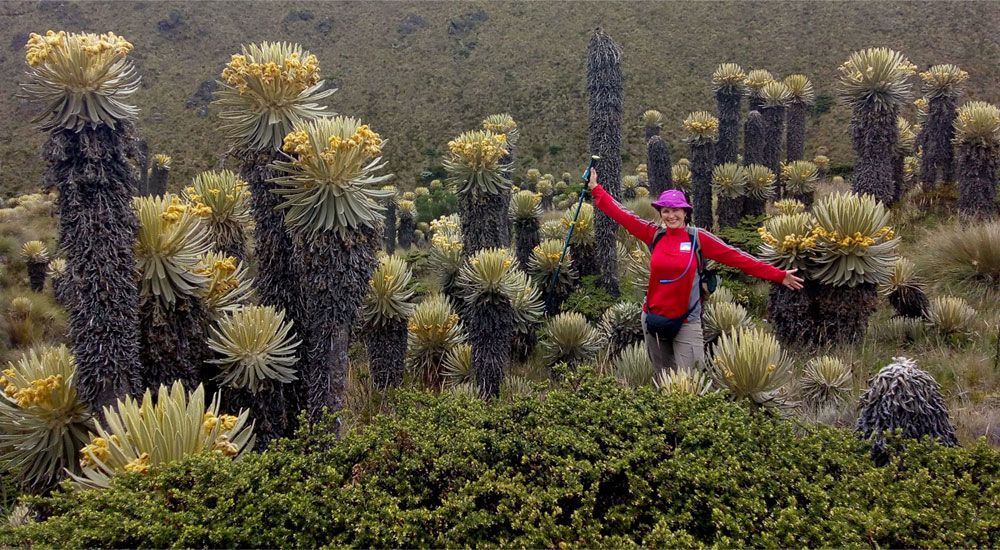 Cómo disfrutar «a pie» nuestros parques naturales