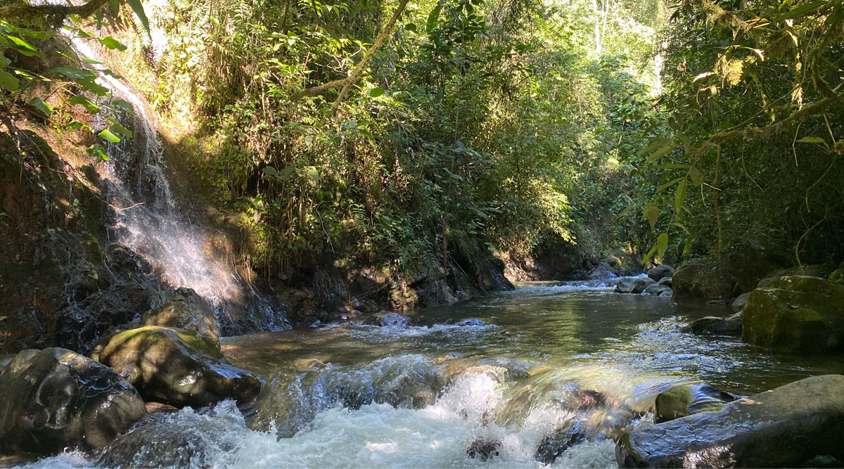 La Bota Andina