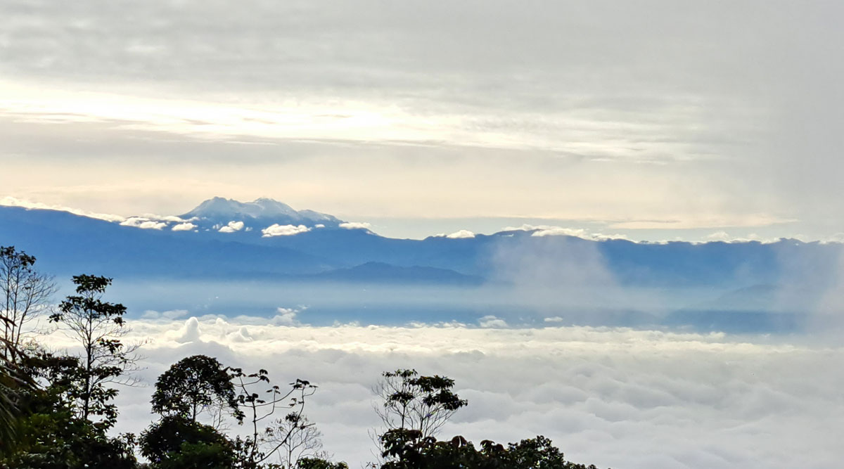 Pico de Águila