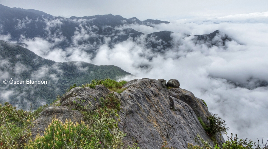 Pico de Loro