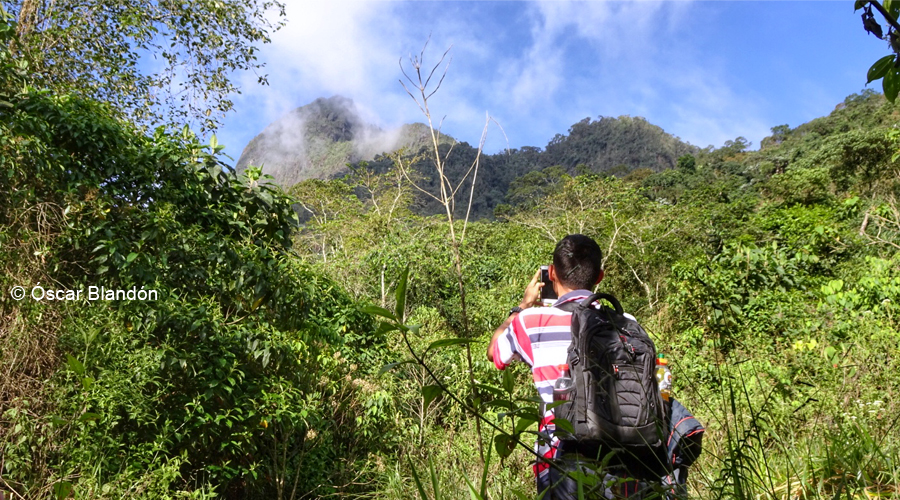 Pico de Loro
