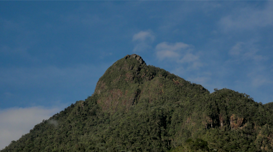 Pico de Loro