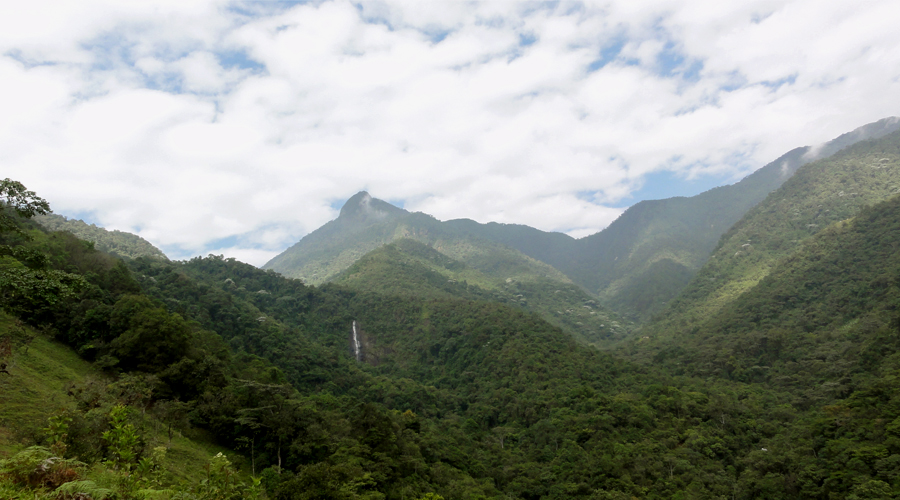 Pico de Loro