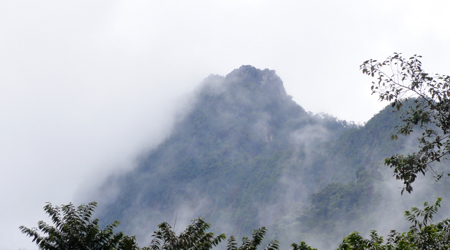 Pico de Loro