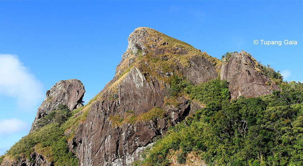 El Pico de Loro Filipino