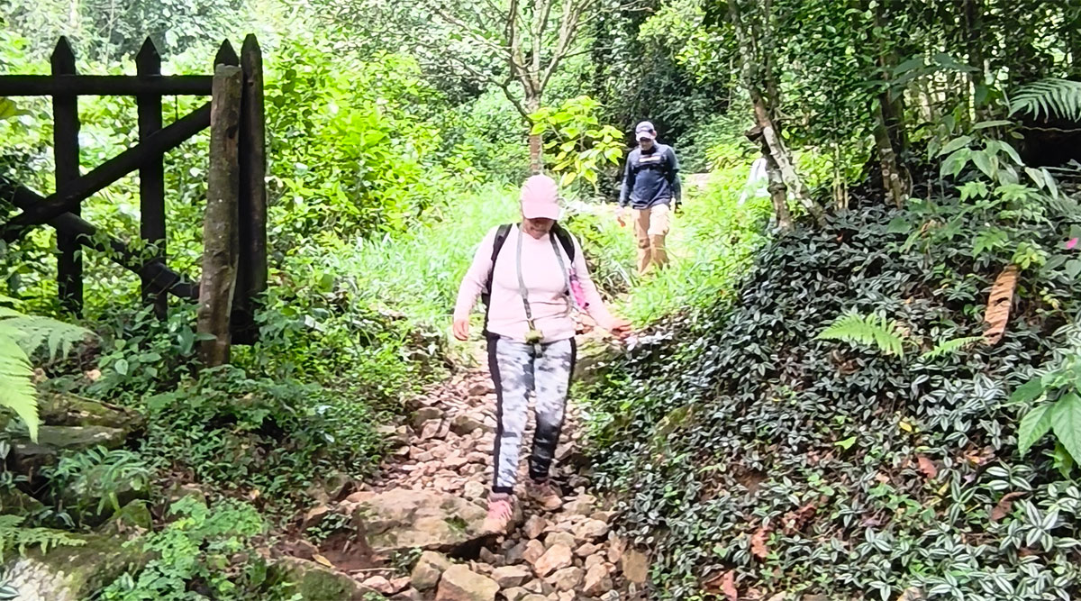 El Porvenir
