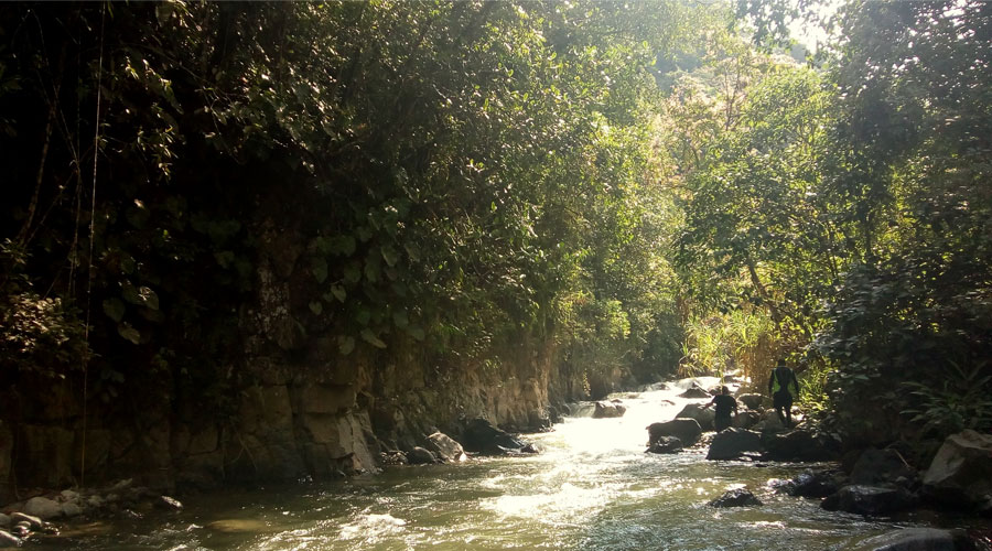 Cañón del Río Guabas