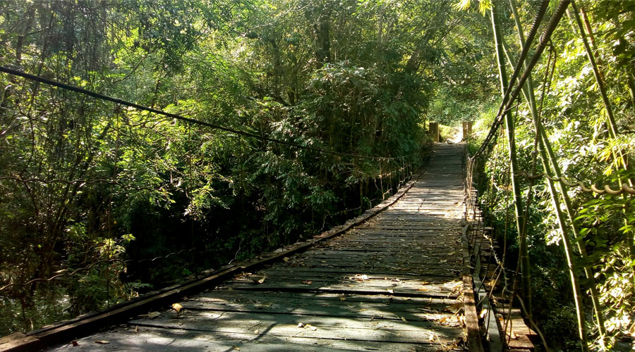 Cañón del Río Guabas