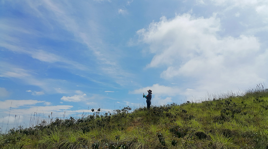 El Mirador del Cacique