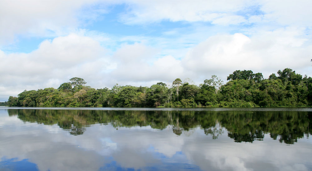 Viaje por el Río Amazonas y Puerto Nariño