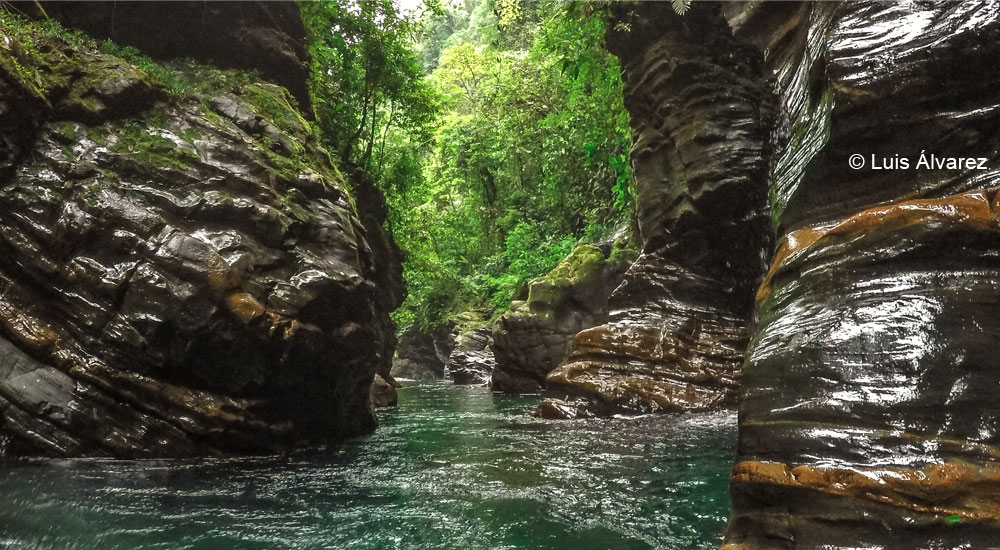 Qué hacer en Cali y sus alrededores