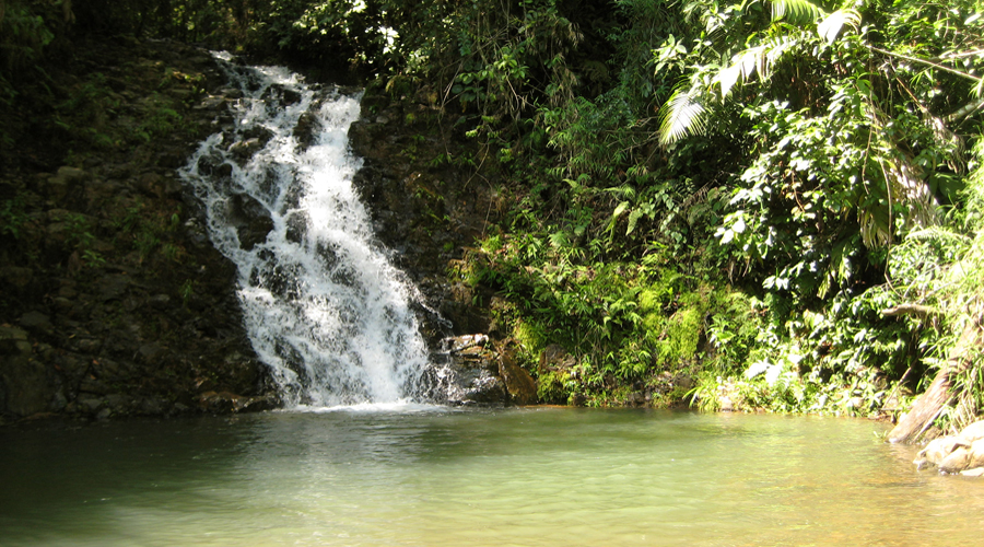 Cascadas del Teteral