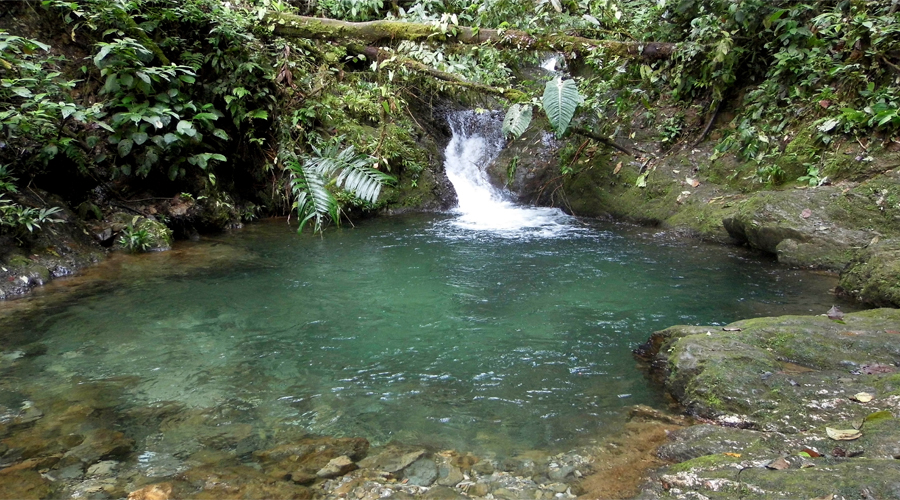 Quebrada Pericos