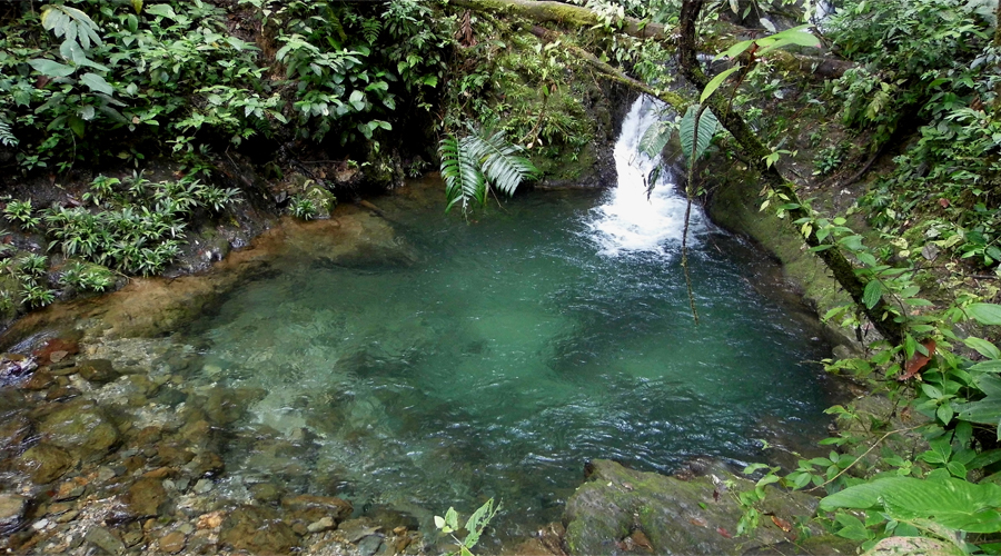 Quebrada Pericos