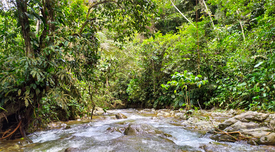 Quebrada Sombrerillos