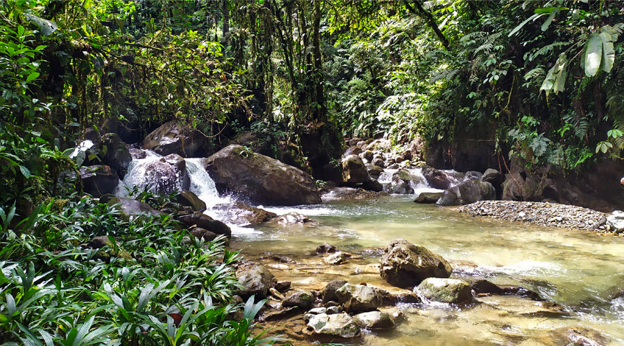 Quebrada Sombrerillos