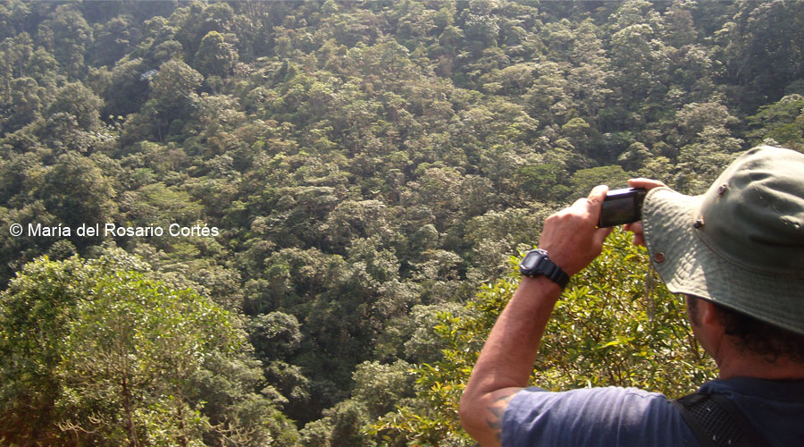 Bonanza, la reserva que conserva el roble negro