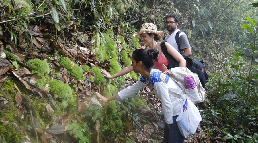 Bonanza, la reserva que conserva el roble negro