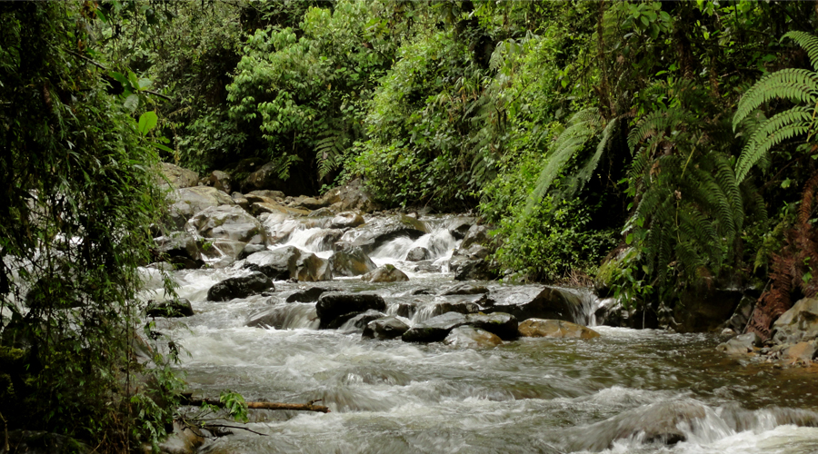 El Canal del Danubio