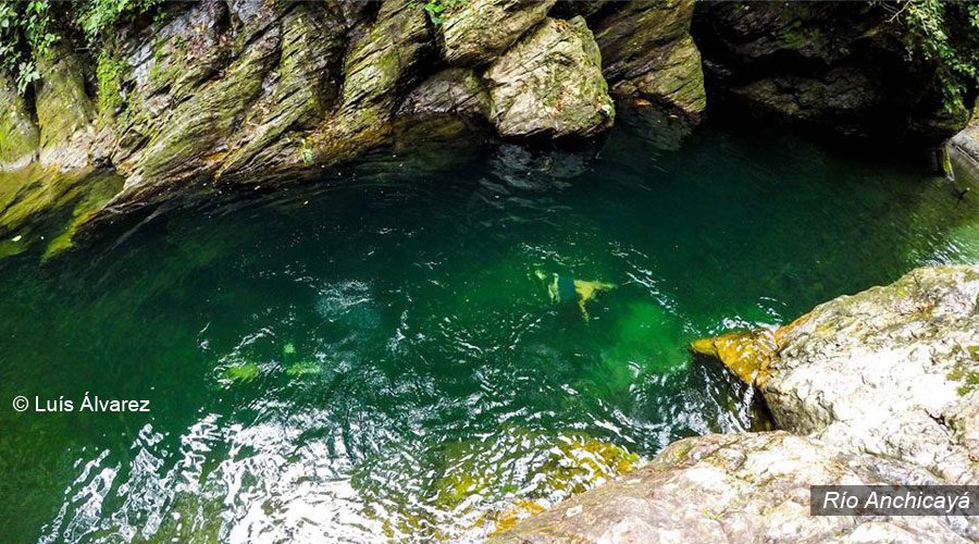Travesía Pacífico: entre ríos, cascadas y selva