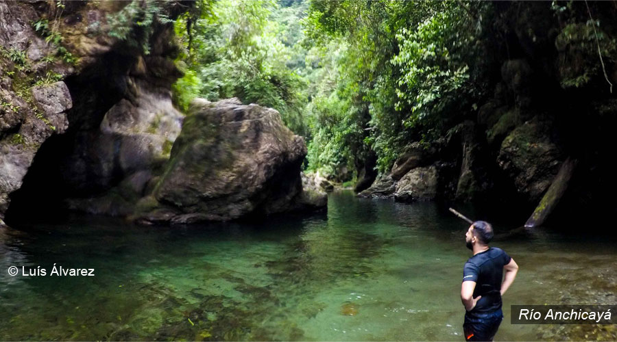 Travesía Pacífico: entre ríos, cascadas y selva