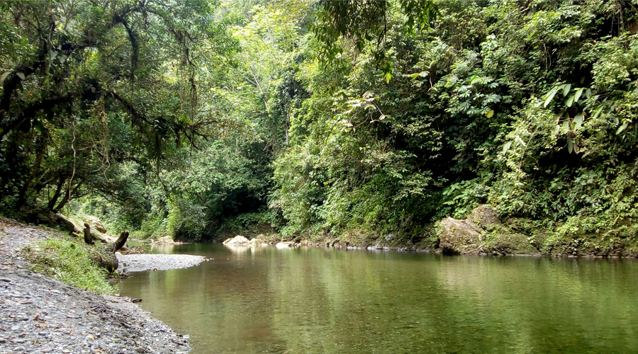 Río Anchicayá