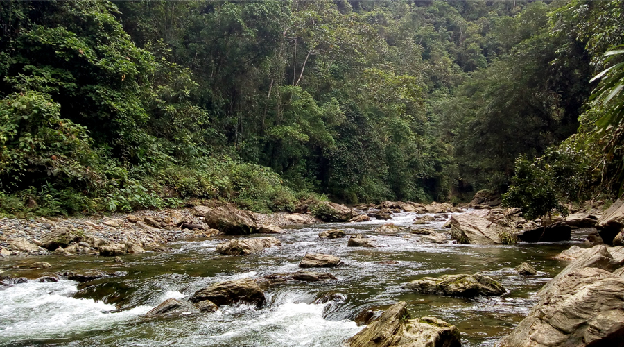 Río Anchicayá