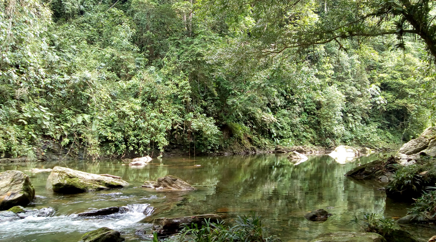 Río Anchicayá