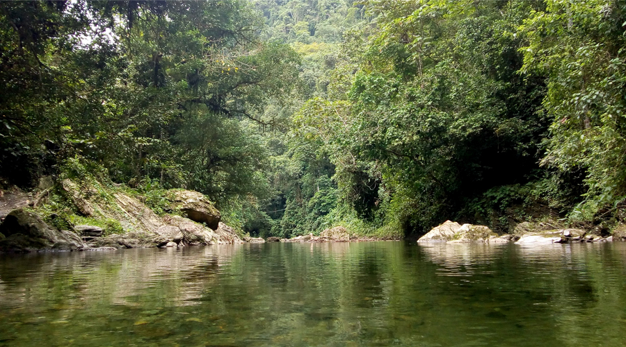 Río Anchicayá
