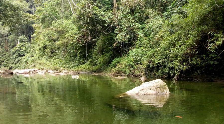 Río Anchicayá