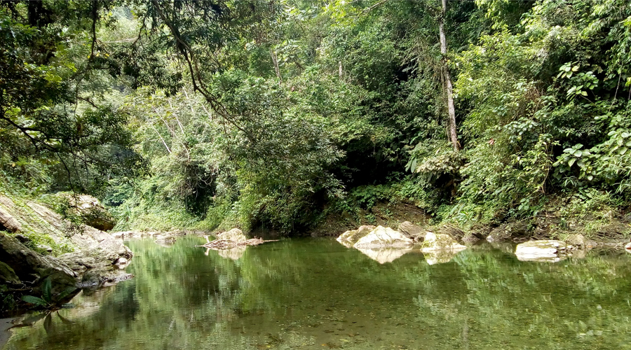 Río Anchicayá
