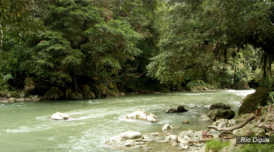 Río Anchicayá