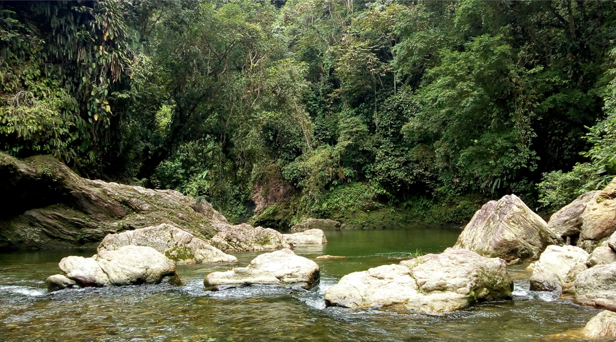 Río Anchicayá
