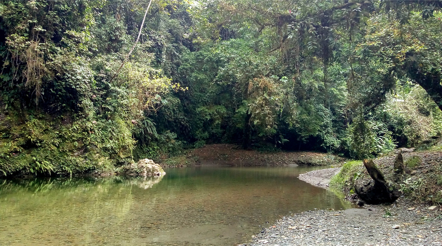 Río Anchicayá