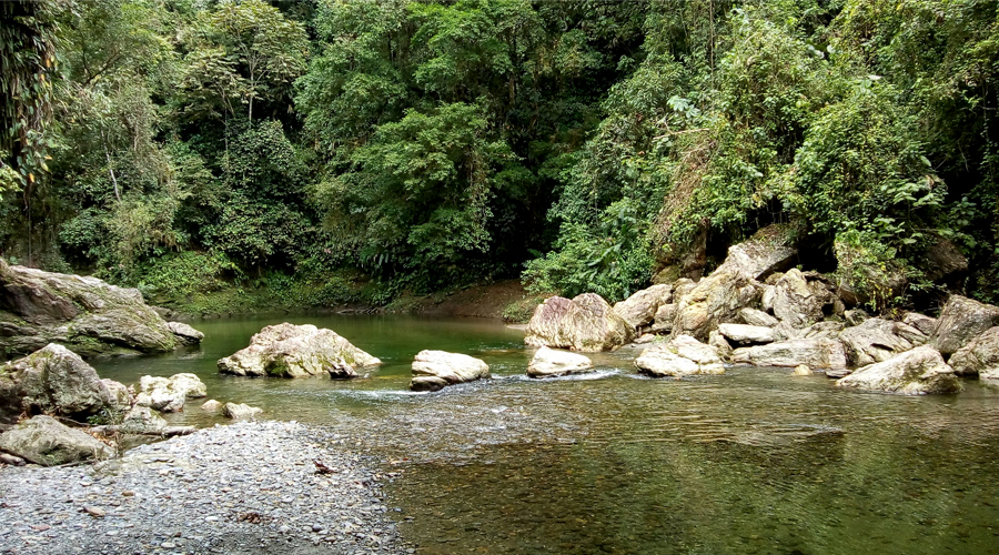 Río Anchicayá